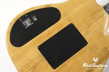 American Acoustasonic Telecaster Exotic Koa